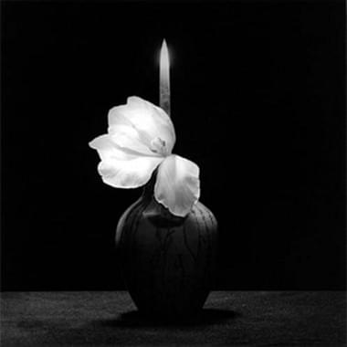 webmappelthorpe.jpg